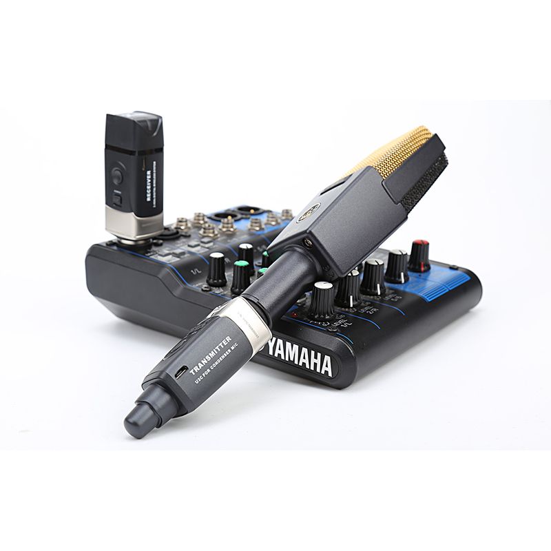 XVIVE - Xvive - XLR Sistema Inalámbrico Conectable para Micrófonos de Mano - U3