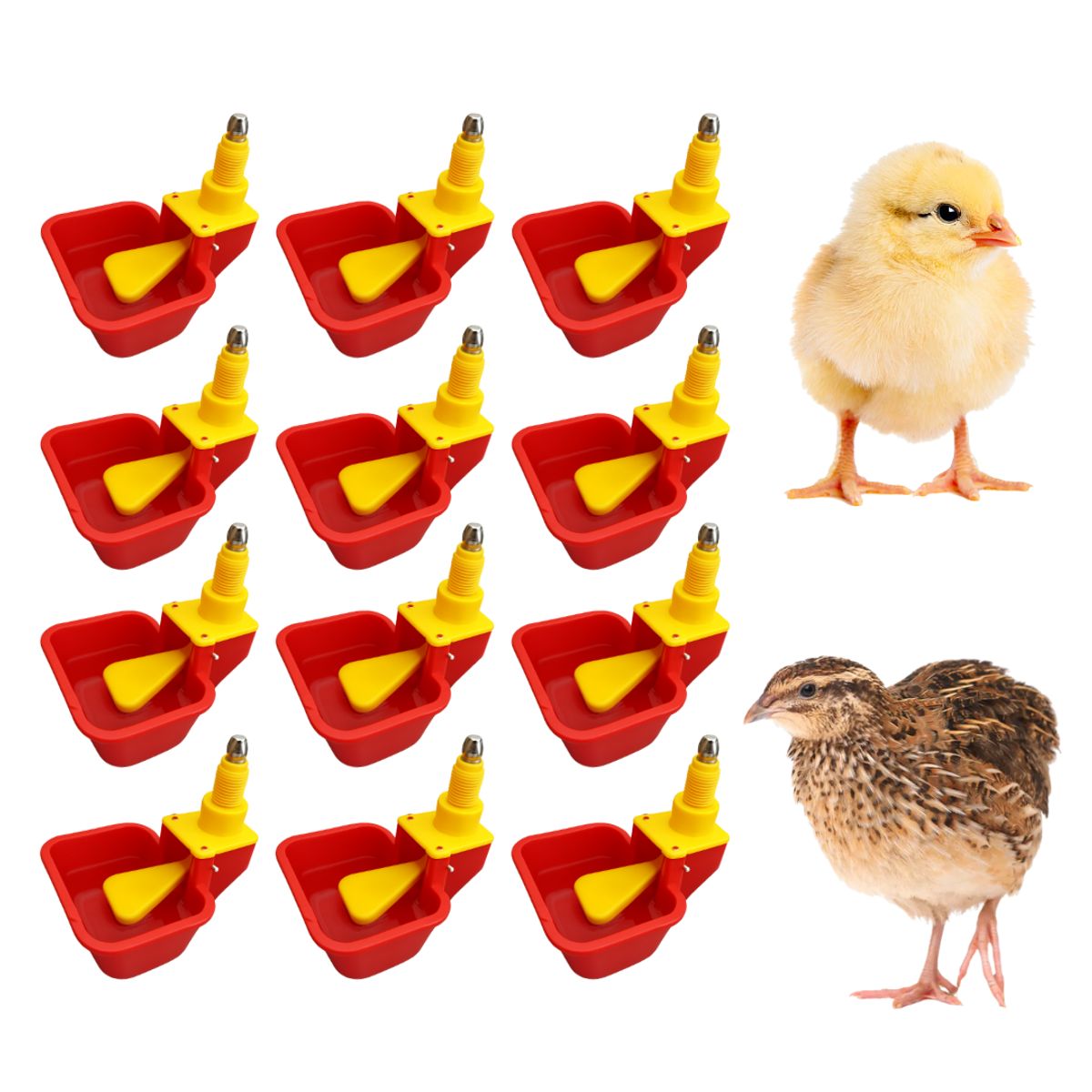 GENERICO - PACK X12 BEBEDERO AUTOMÁTICO NIPLE PARA CODORNIZ POLLO PATOS ROJO