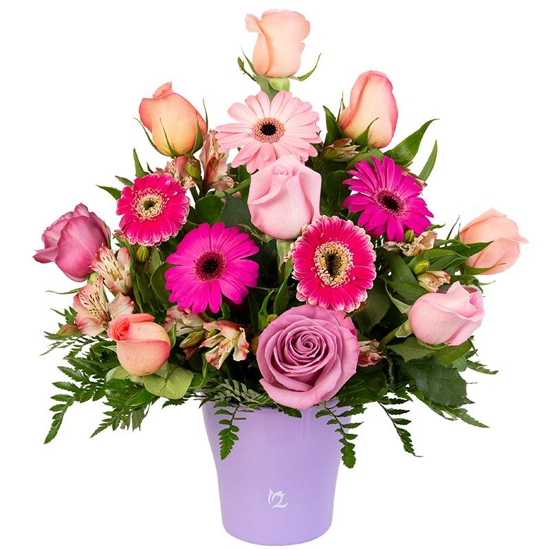 KUKYFLOR - Arreglo de Rosas Mini gerberas y Alstroemeria en Base de Cerámica - Arreglos Florales Naturales