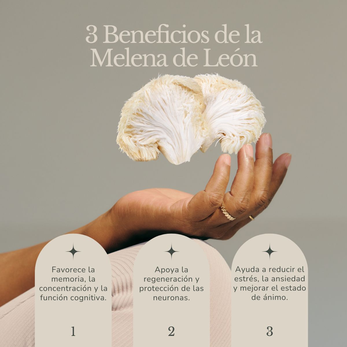 DINOA - Melena de Leon Cápsulas x 100 Dinoa- Bienestar -Concentración- Salud cerebral