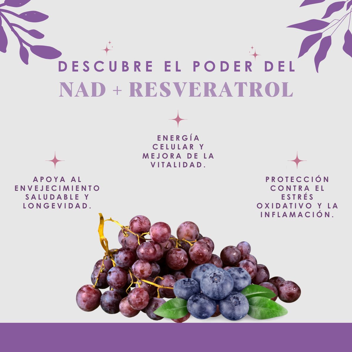DINOA - NAD + Resveratrol Cápsulas x 100 Dinoa- Longevidad- Salud celular
