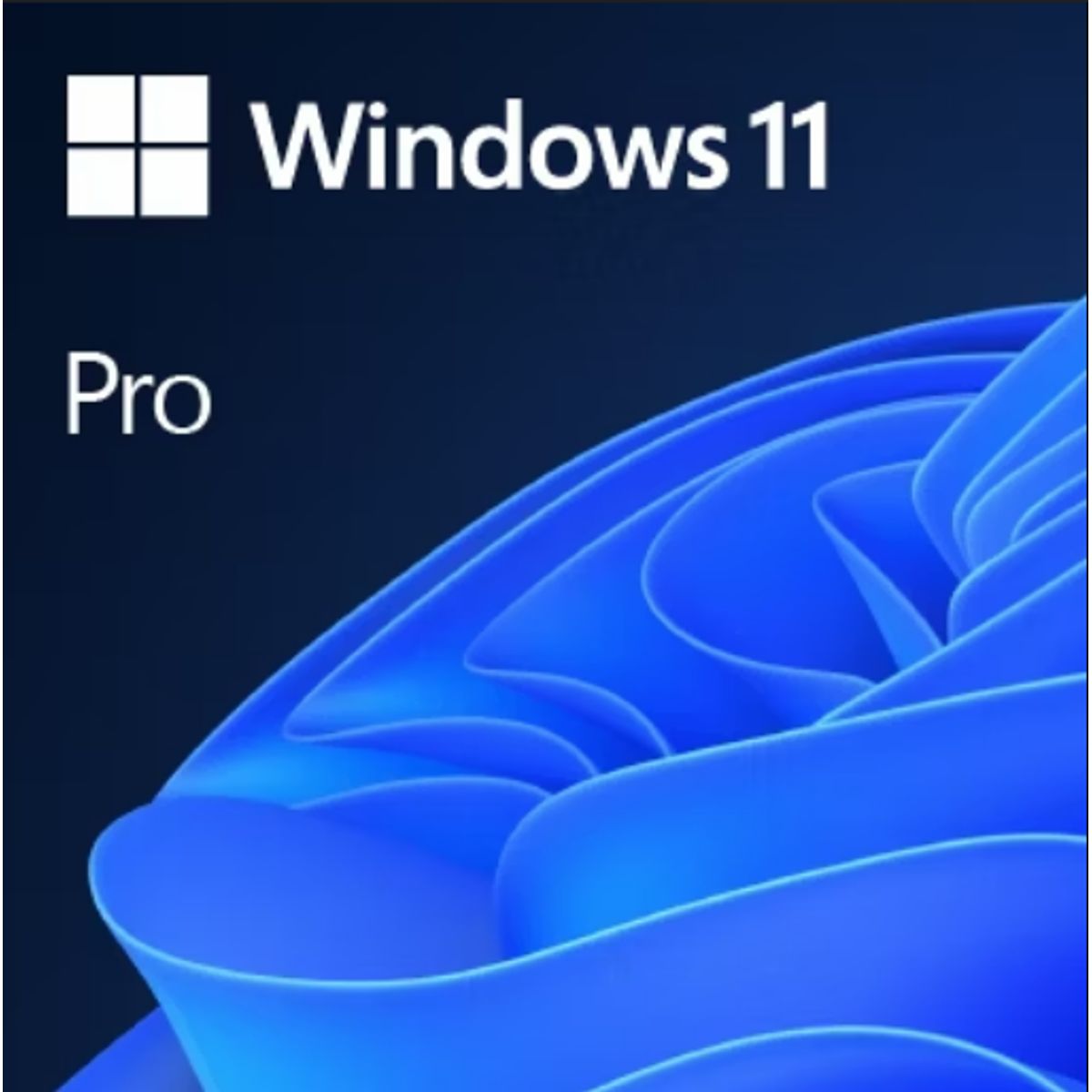 MICROSOFT - Windows 11 Pro Global