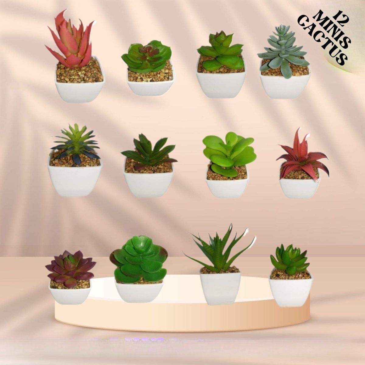 GENERICO - PLANTAS ARTIFICIAL DECORATIVA SET 12 MINI SUCULENTAS CACTUS