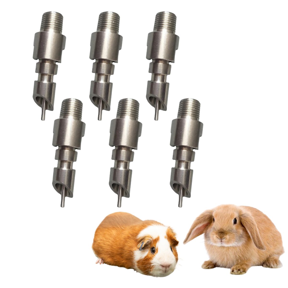GENERICO - PACK X6 BEBEDERO PREMIUM PARA CONEJO CUY ACERO INOX