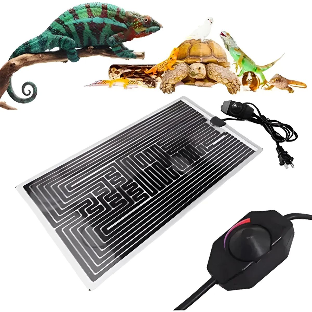 GENERICO - PLACA TÉRMICA DE 40W 220V PARA REPTILES ERIZO HÁMSTER AVES NEGRO