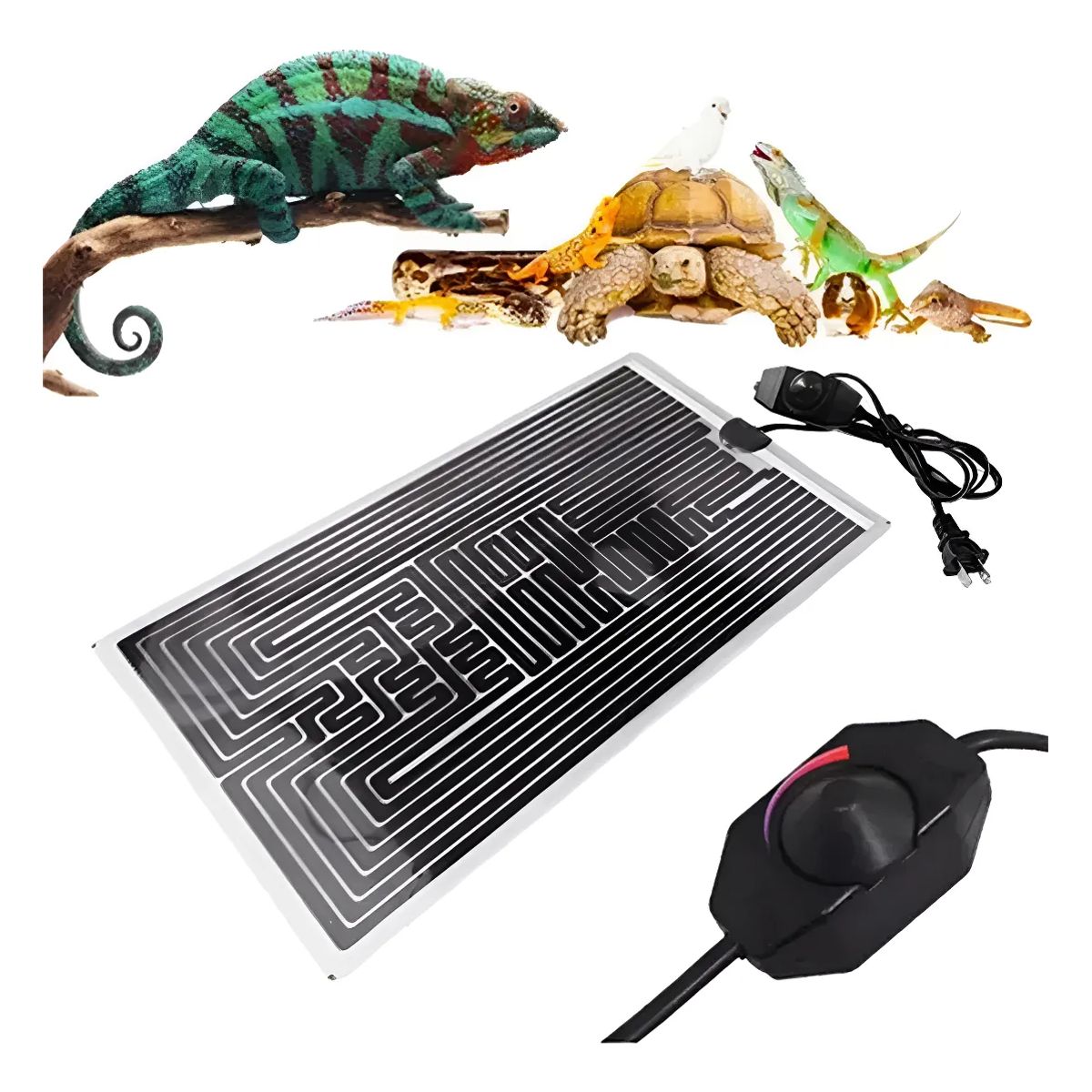 GENERICO - PLACA TÉRMICA DE 40W 220V PARA REPTILES ERIZO HÁMSTER AVES NEGRO