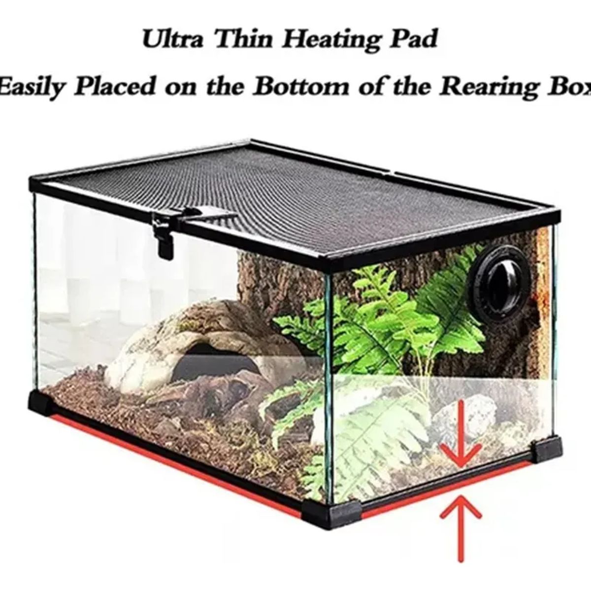 GENERICO - PLACA TÉRMICA DE 40W 220V PARA REPTILES ERIZO HÁMSTER AVES NEGRO