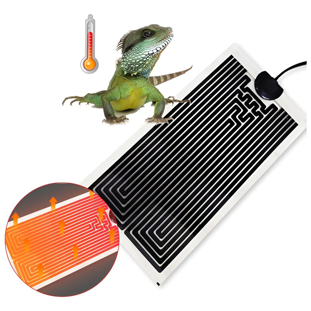 GENERICO - PLACA TÉRMICA DE 14W 220V PARA REPTILES ERIZO HÁMSTER AVES NEGRO