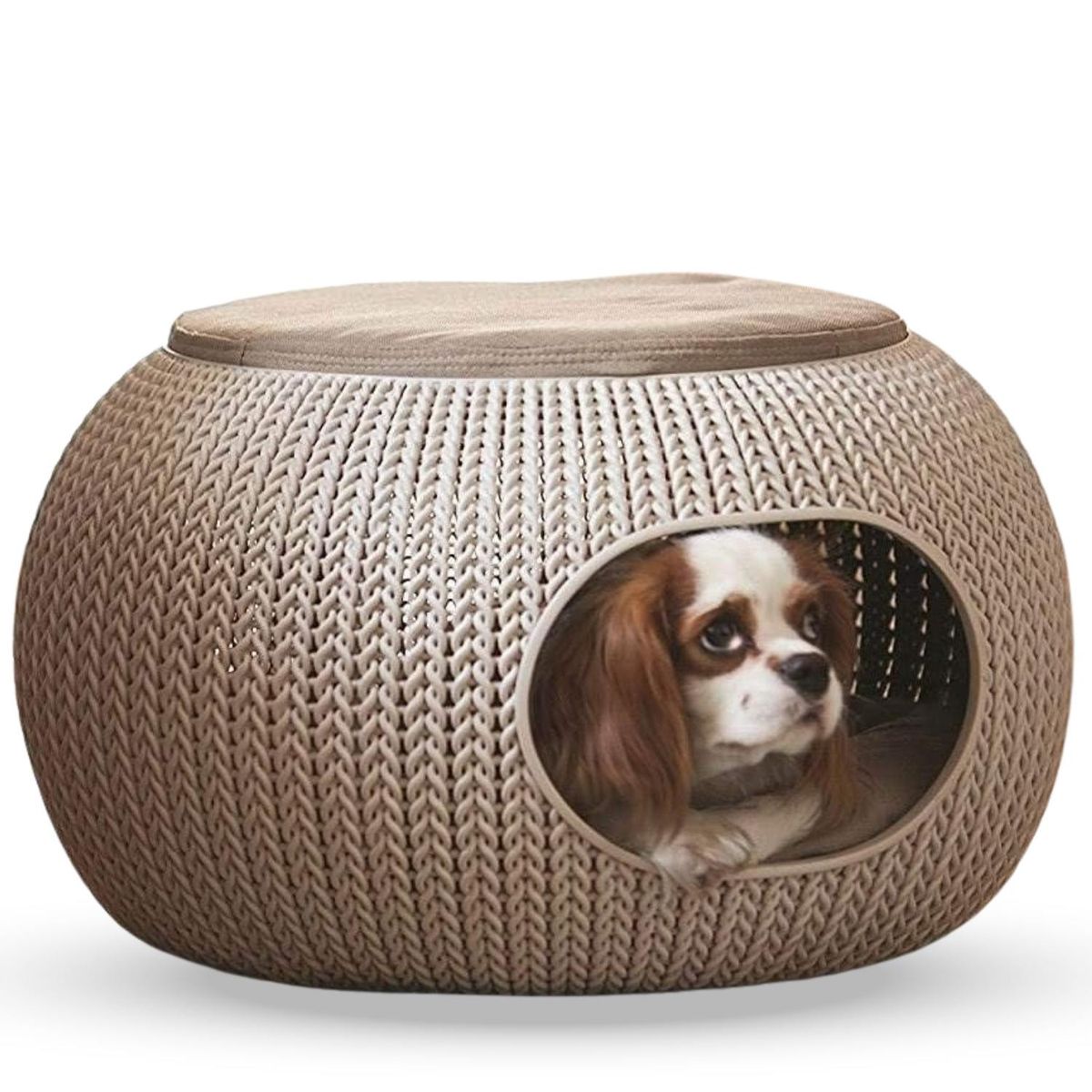 GENERICO - Cama Para Perro Raza Pequeña Puff P’itay 2 en1-PROLIMSO