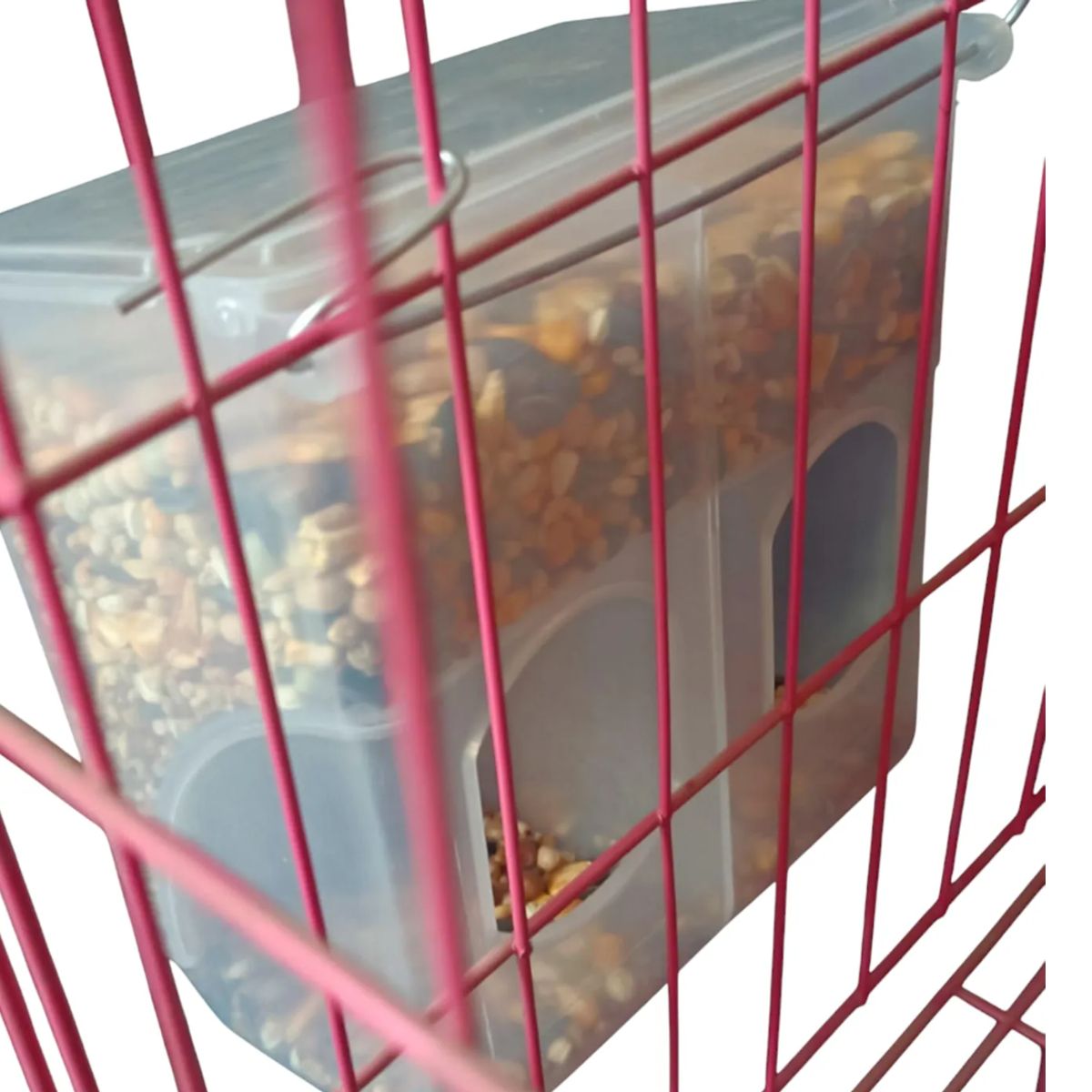 GENERICO - Comedero de Control Visual Doble para Aves de Corral