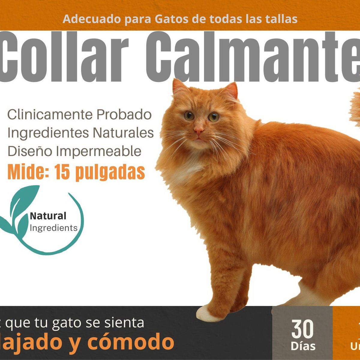 GENERICO - Collar Calmante de Feromonas para Gatos Naranja - Reduce Ansiedad