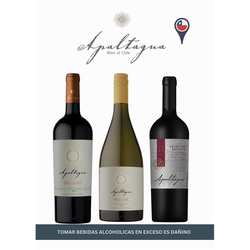 APALTAGUA - Pack Degustación X 3 Apaltagua