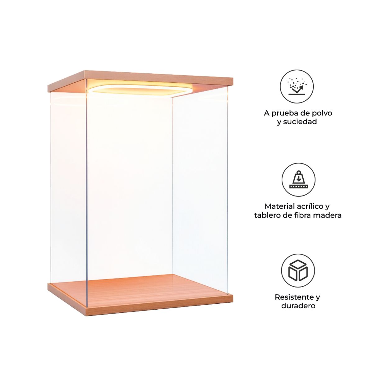 S&T - Exhibidor Acrílico M0-20 con Luz LED y Base de Madera 10x20