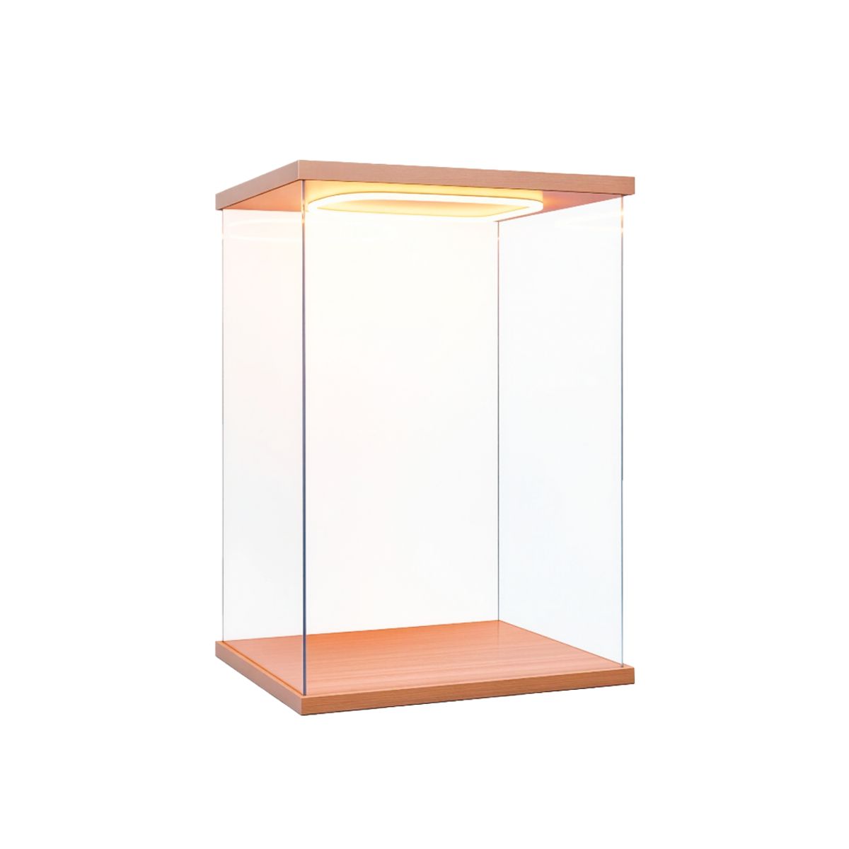 S&T - Exhibidor Acrílico M0-20 con Luz LED y Base de Madera 10x20