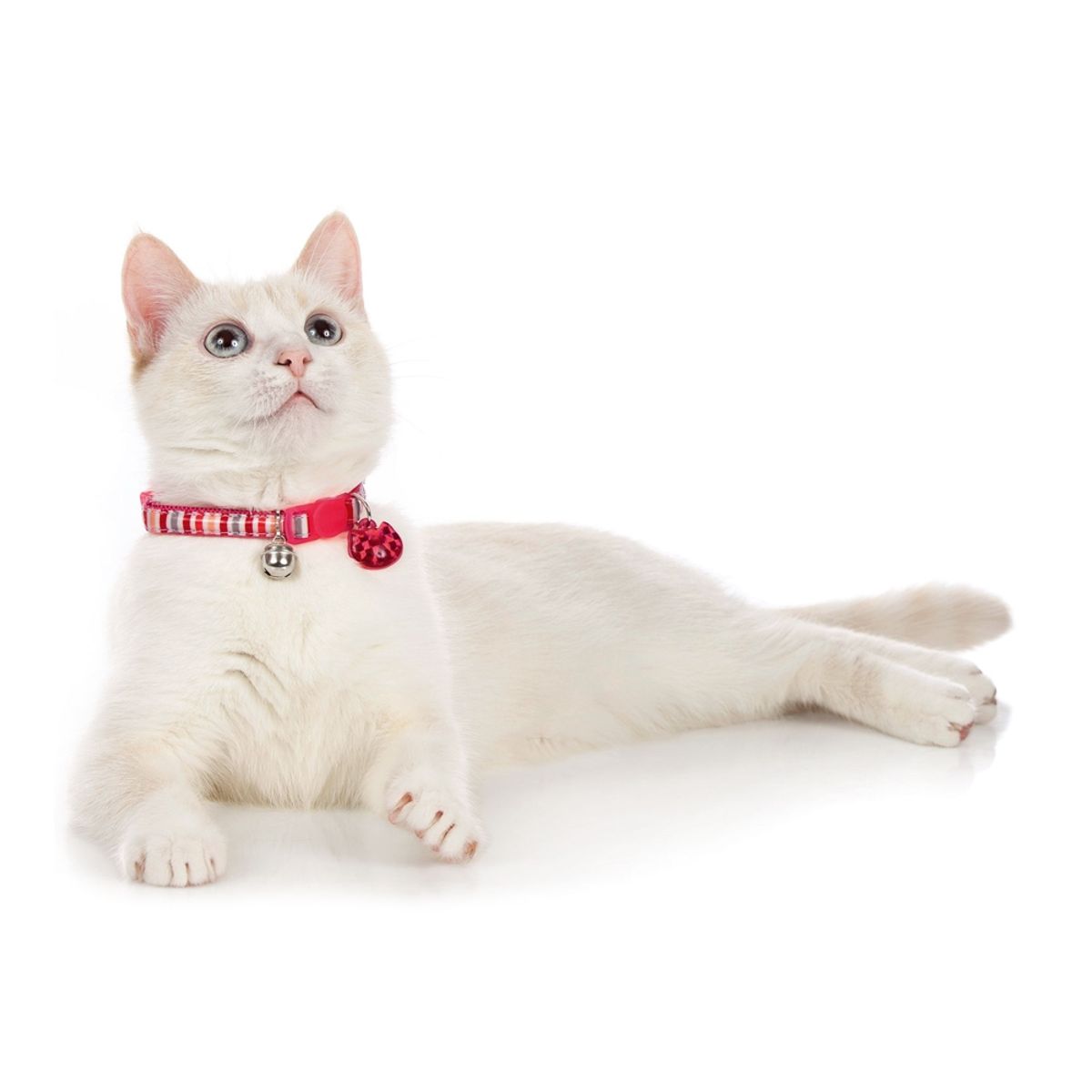 HUNTER - Hunter Collar para Gato Glossy Stripes Rosa
