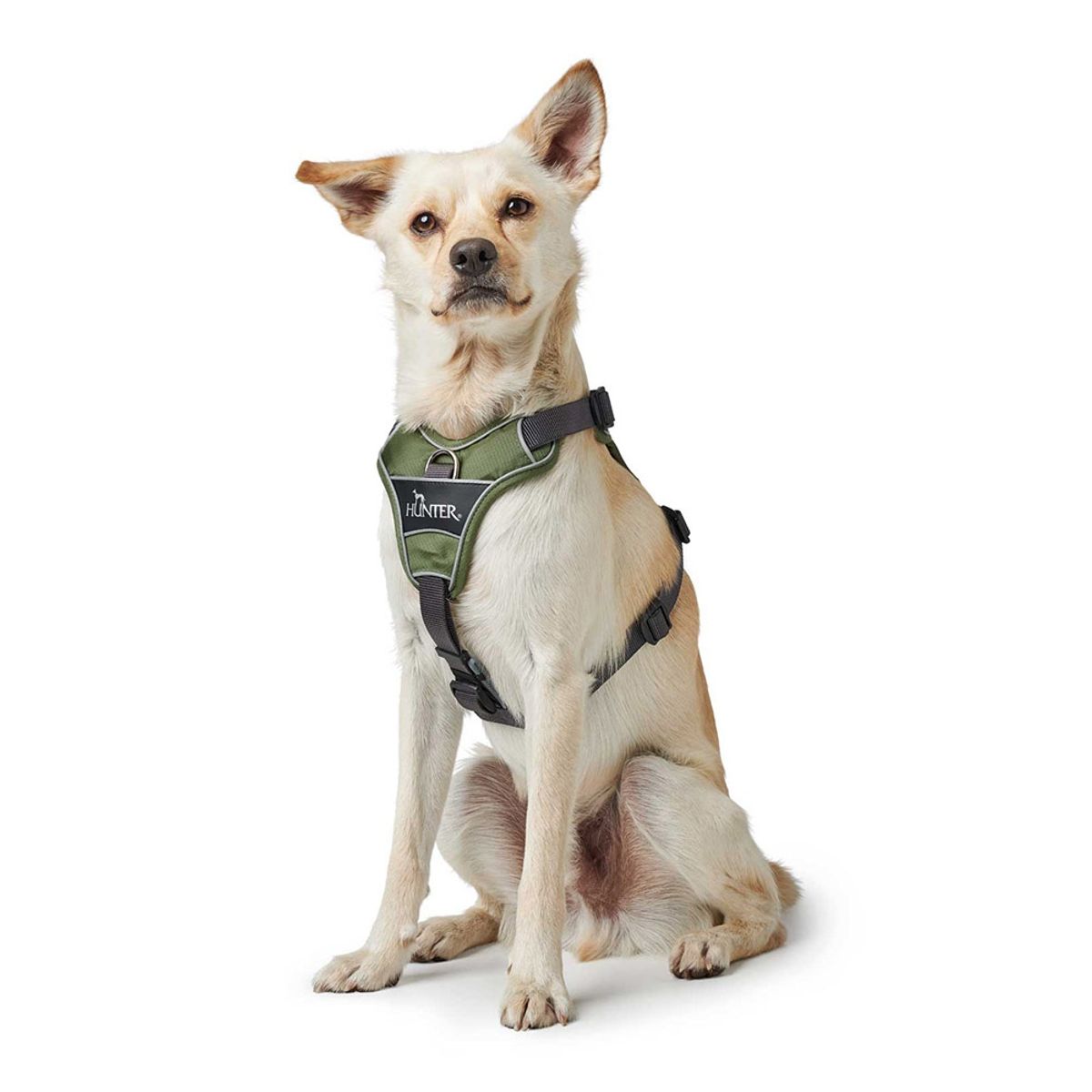 HUNTER - Hunter Arnes para Perro Divo VerdeGris L-XL