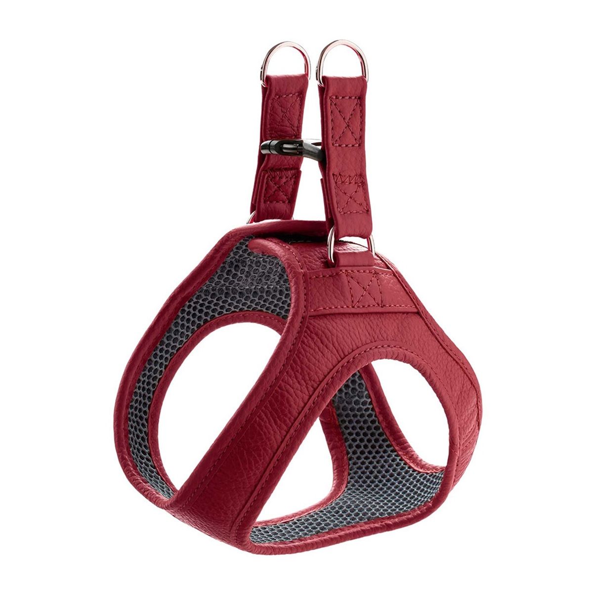 HUNTER - Hunter Arnes para Perro Hilo Borgoña XXS-XS