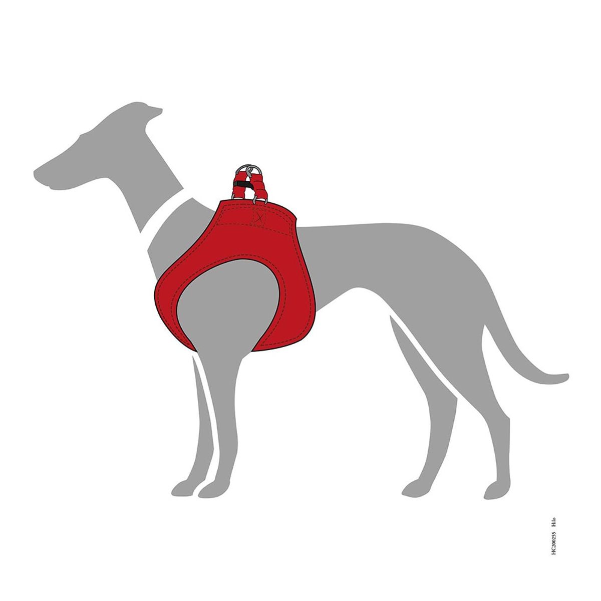 HUNTER - Hunter Arnes para Perro Hilo Borgoña XXS-XS