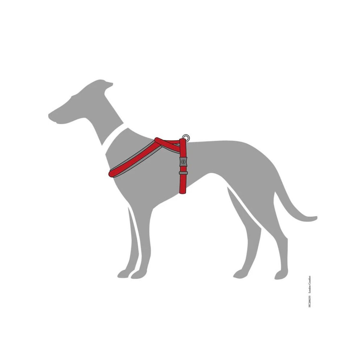 HUNTER - Hunter Arnes para Perro London Comfort Rojo M