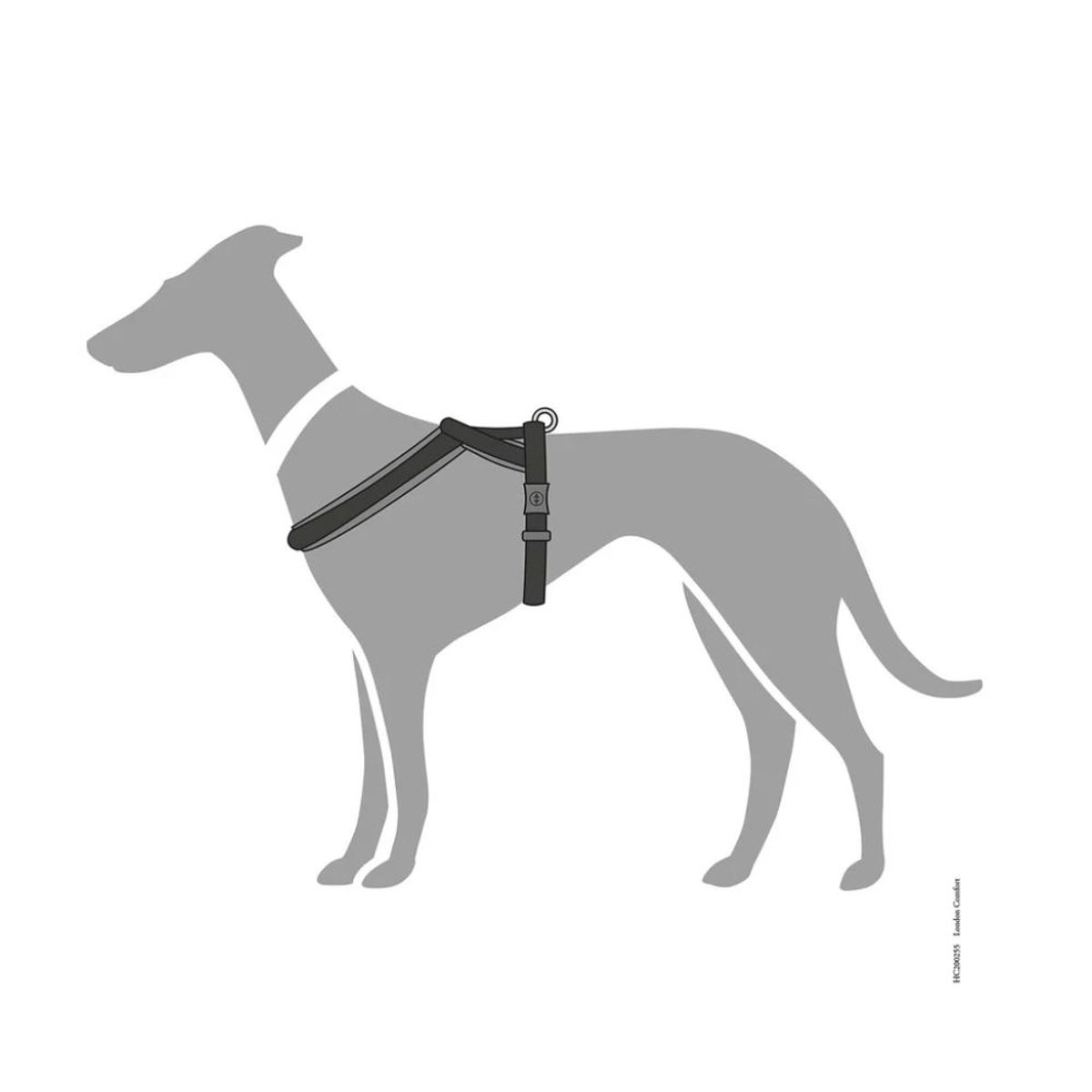 HUNTER - Hunter Arnes para Perro London Comfort Negro M