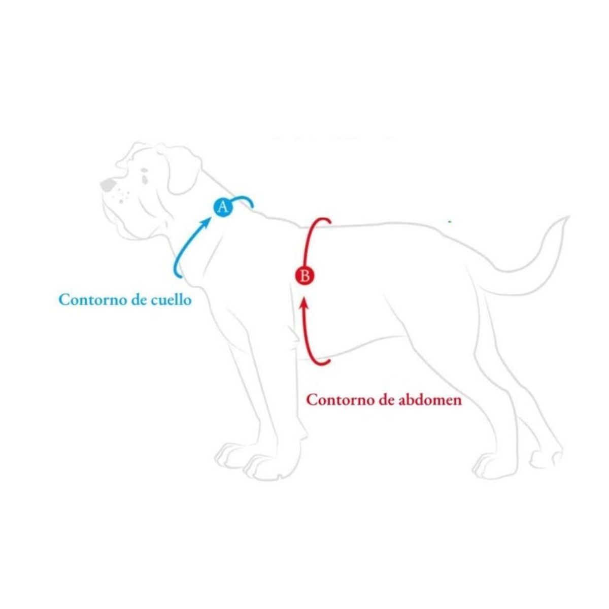 HUNTER - Hunter Arnes para Perro Maldon OlivaGris XS