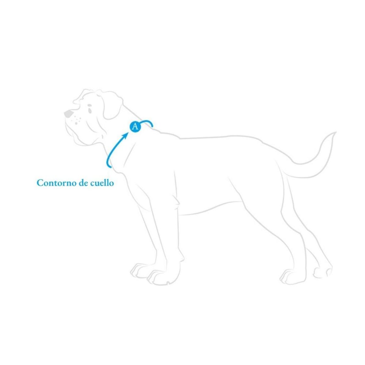 HUNTER - Hunter Collar para Perro Aalborg Negro S