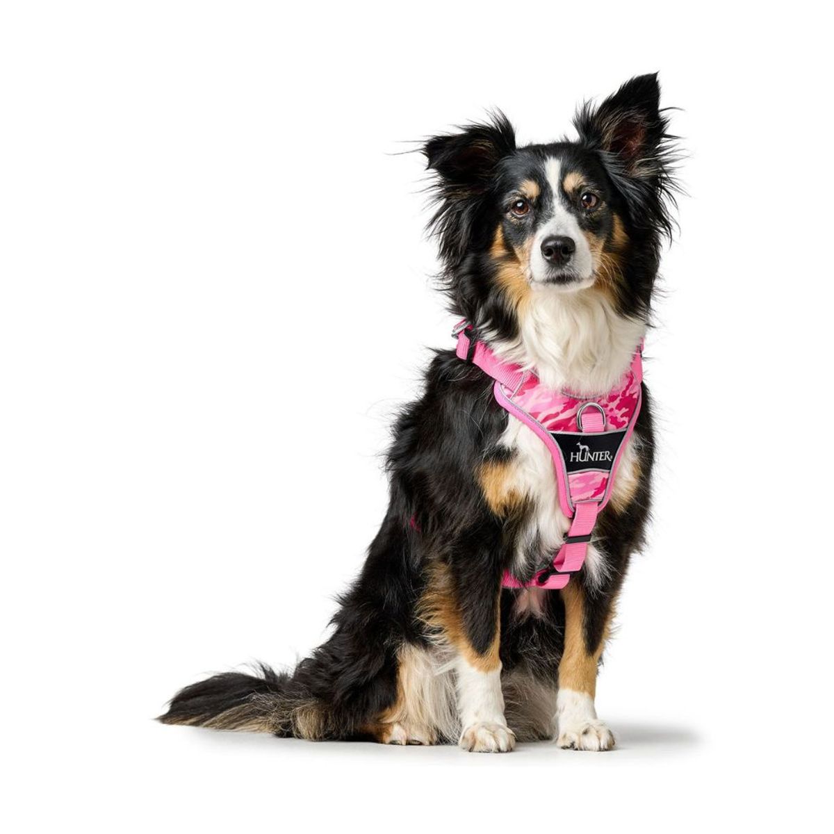 HUNTER - Hunter Arnés para Perro Divo Camouflage Rosa Claro L