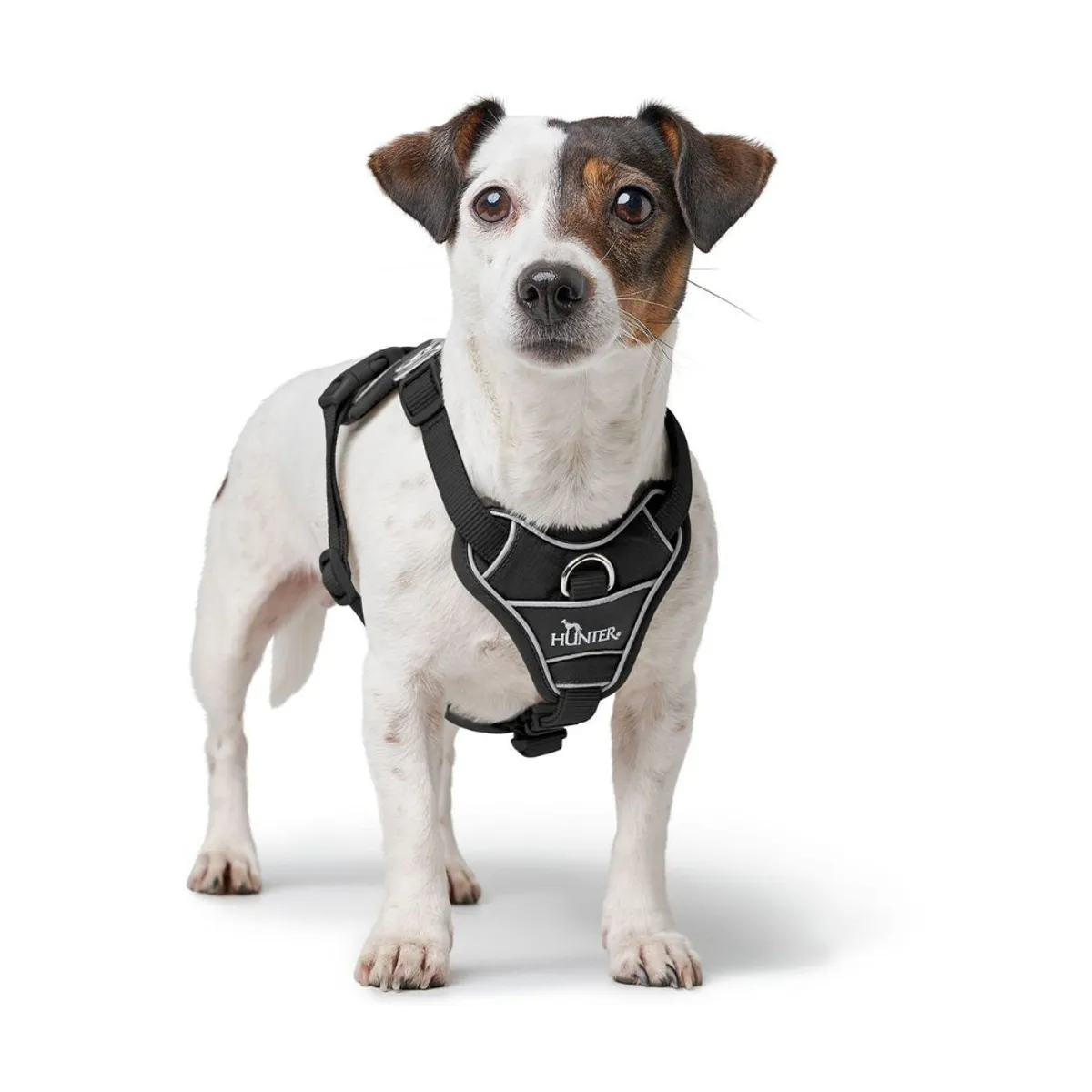 HUNTER - Hunter Arnés para Perro Divo Up Negro S