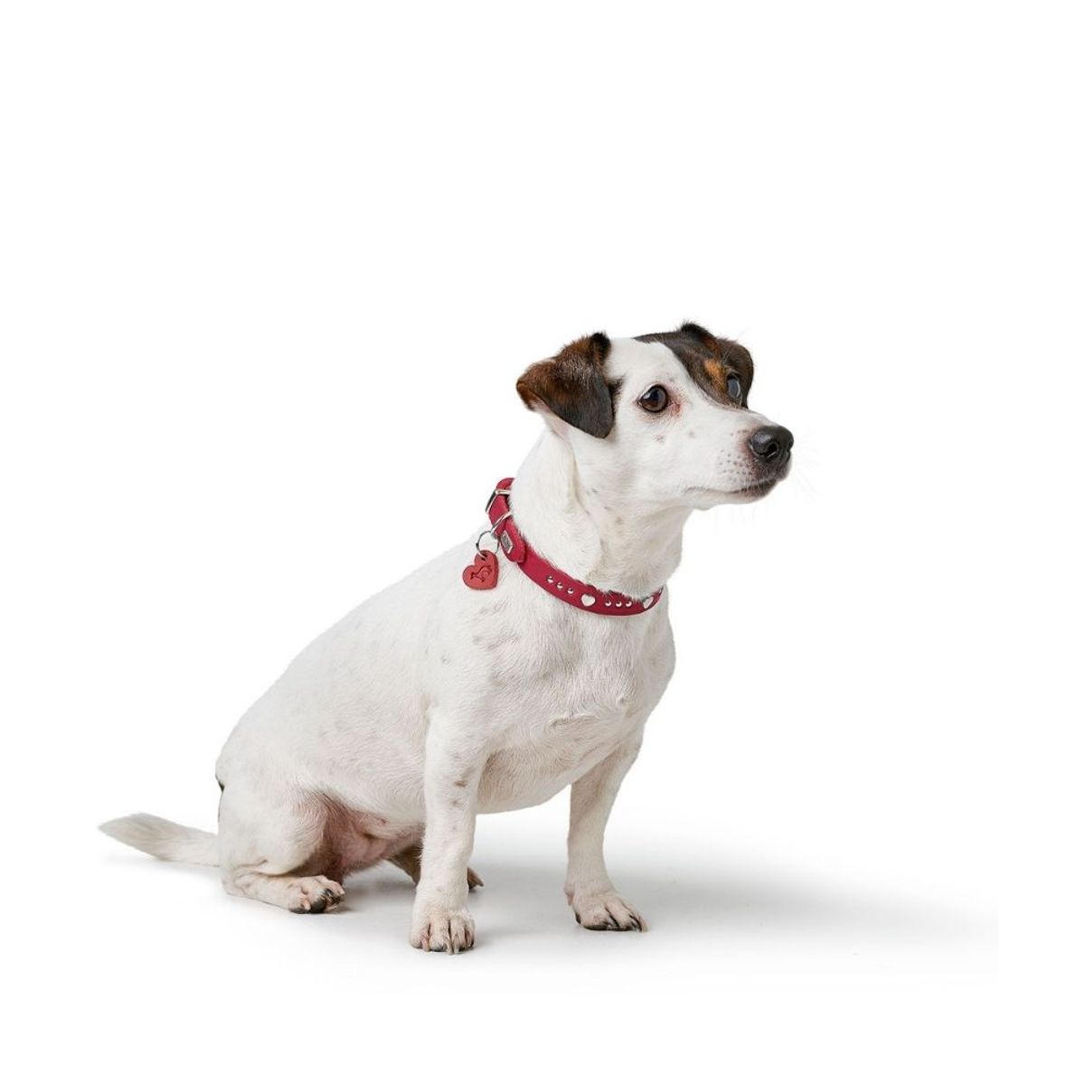 HUNTER - Hunter Collar para Perro Aalborg Hearts Rojo XS-S