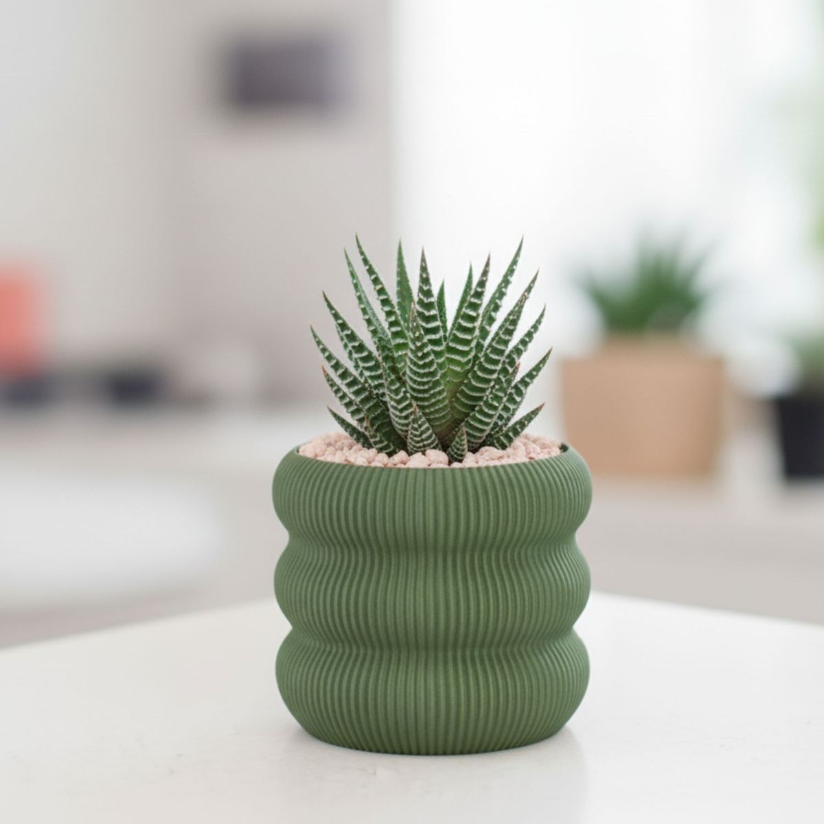 GENERICO - Porta maceta MA-Z Bub N9 color Verde Olivo