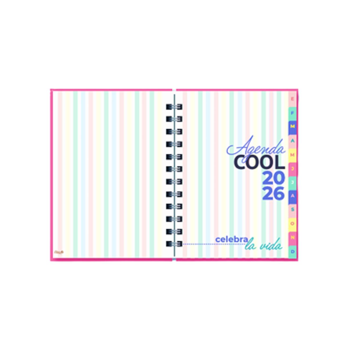 GENERICO - AGENDA DIARIA  ANILLADA CASTELLI 2026 - ASTRO BLUE