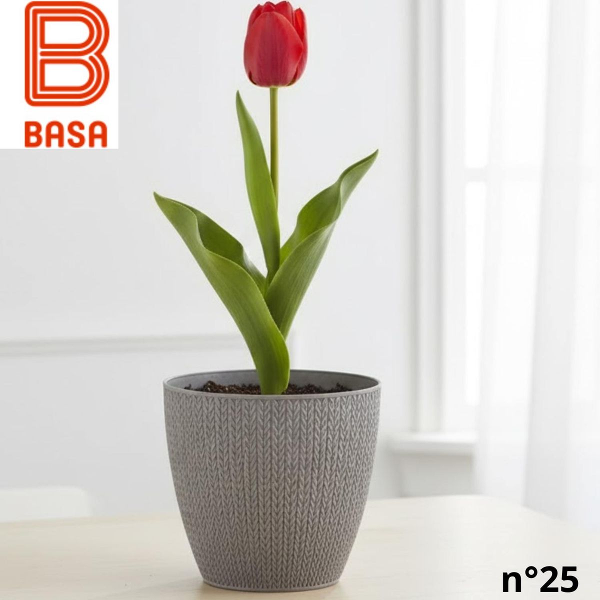 BASA - MACETA TEJIDA PETUNIA NRO 25 - BASA