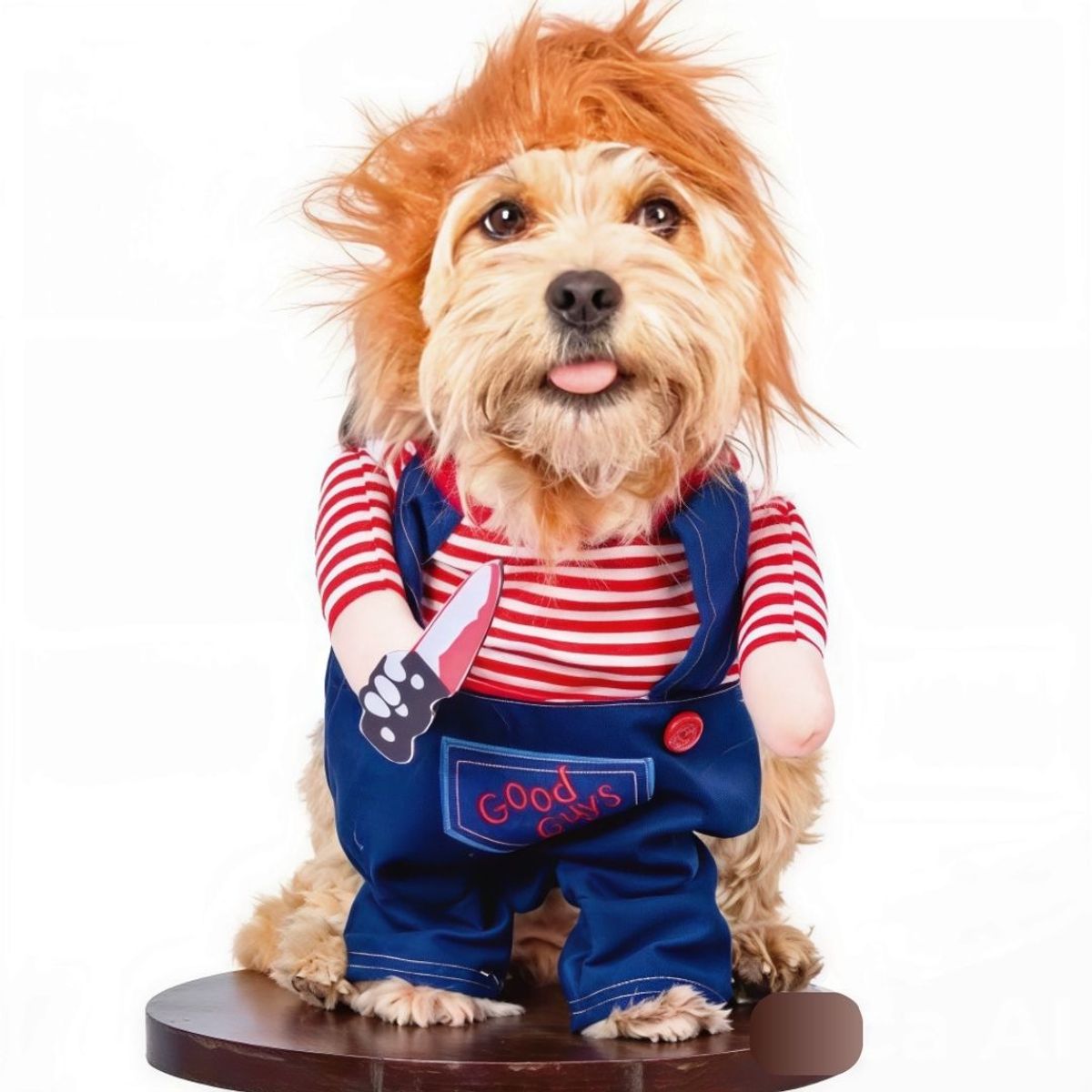 GENERICO - DISFRAZ Traje de Chucky para Mascotas Talla 1