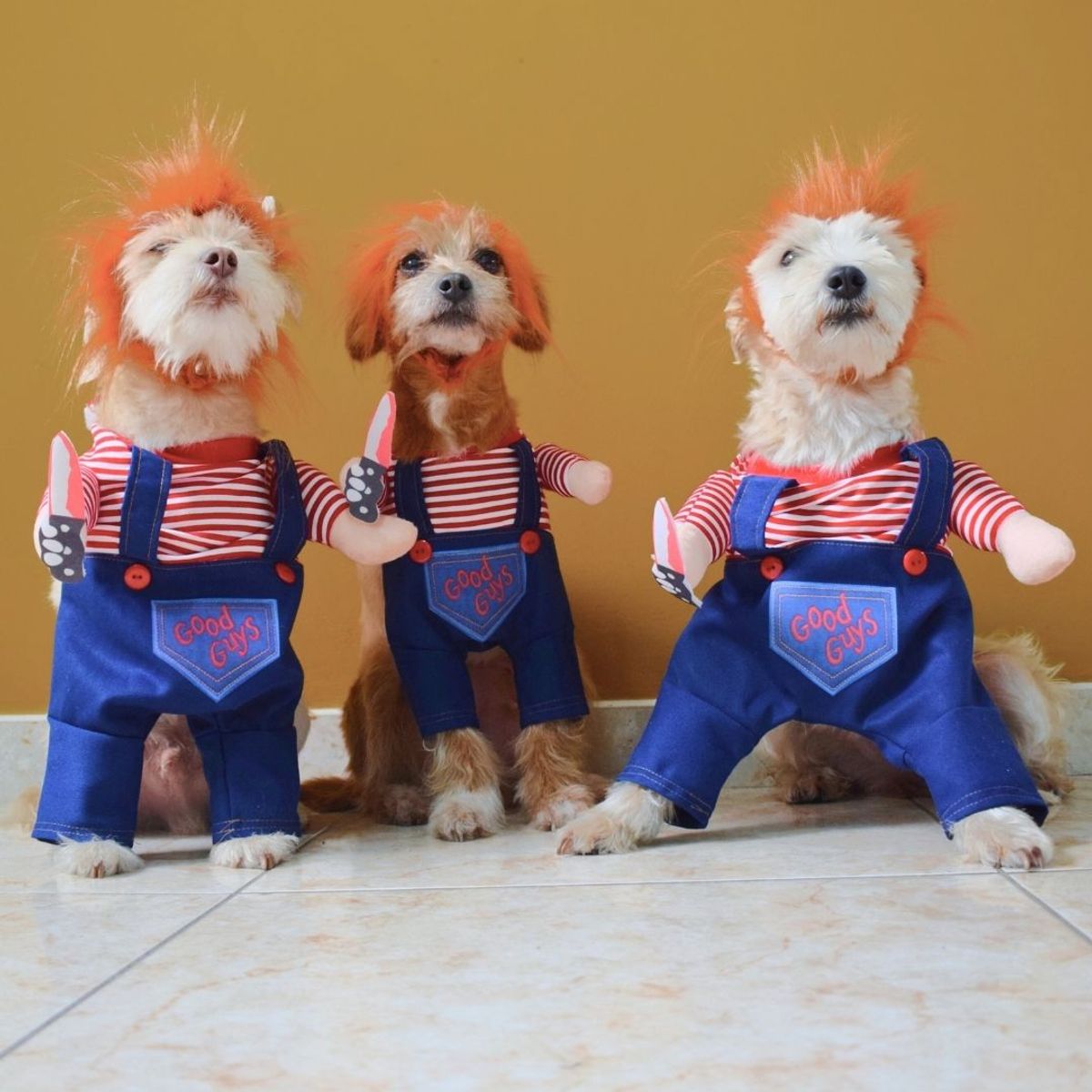 GENERICO - DISFRAZ Traje de Chucky para Mascotas Talla 1