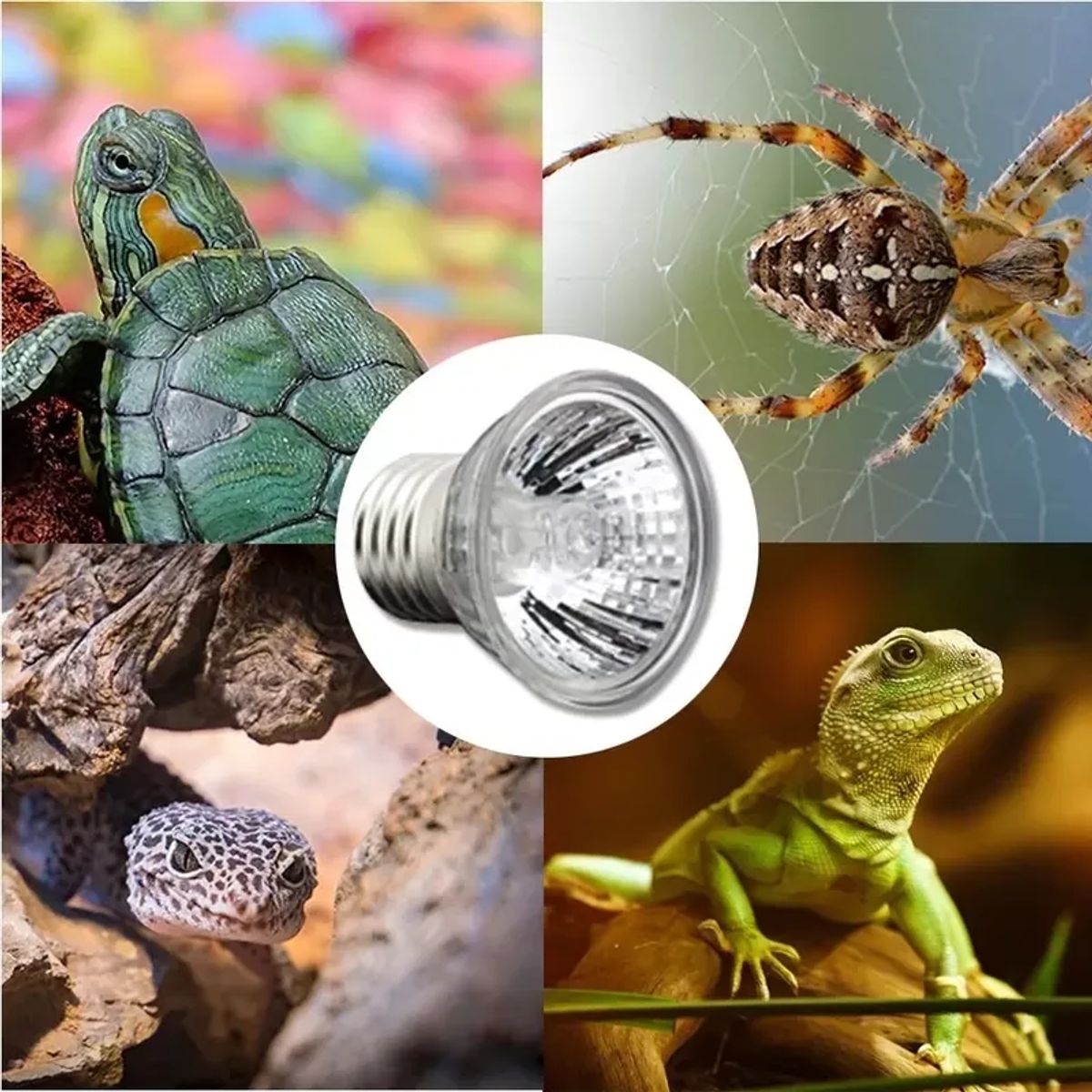 GENERICO - FOCO UVB + UVA PARA REPTILES MASCOTAS 75W