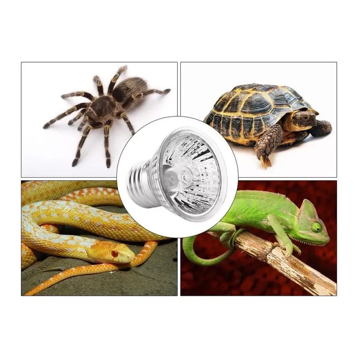 GENERICO - FOCO UVB + UVA PARA REPTILES MASCOTAS 75W