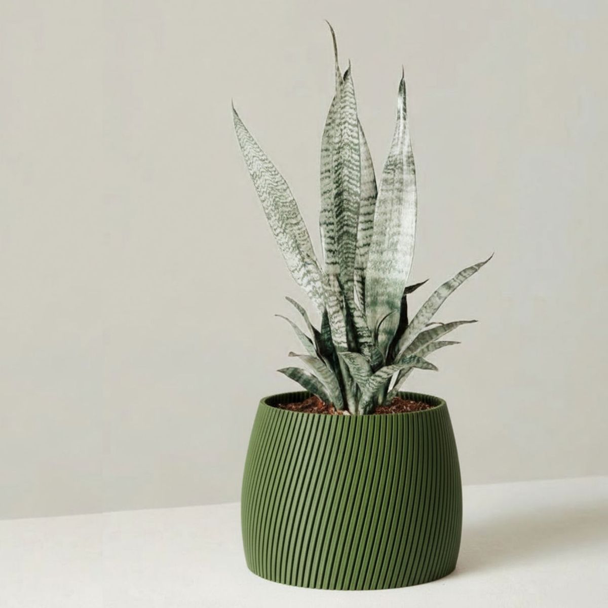 GENERICO - Porta maceta MA-Z Blush N12 color Verde Olivo