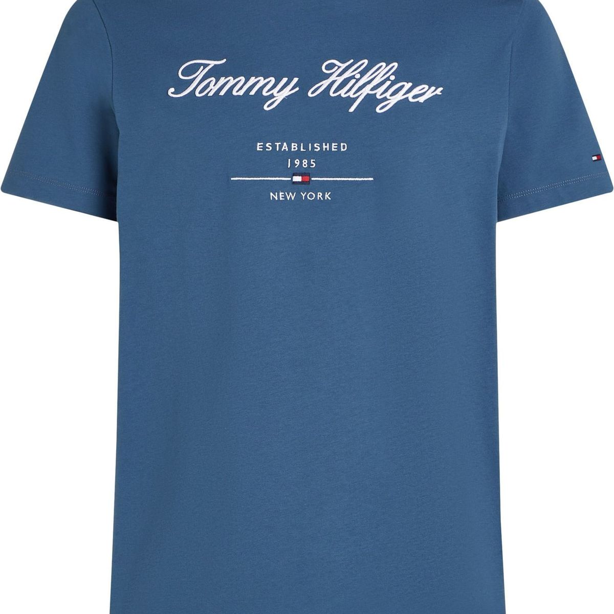 TOMMY HILFIGER - CAMISETA SCRIPT LOGO TEE