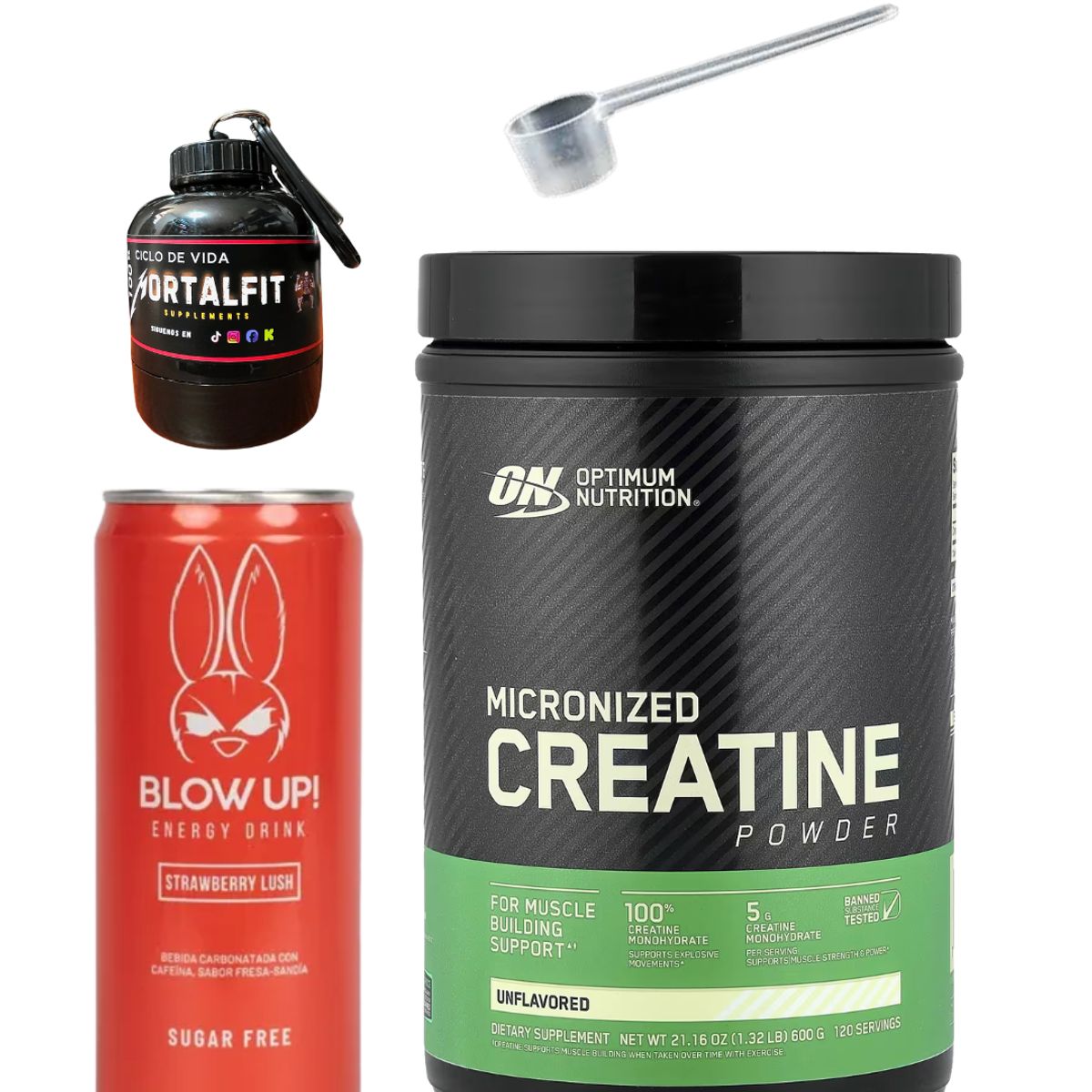 OPTIMUN NUTRITION - Creatina Monohidratada ON 600 Gr + regalos