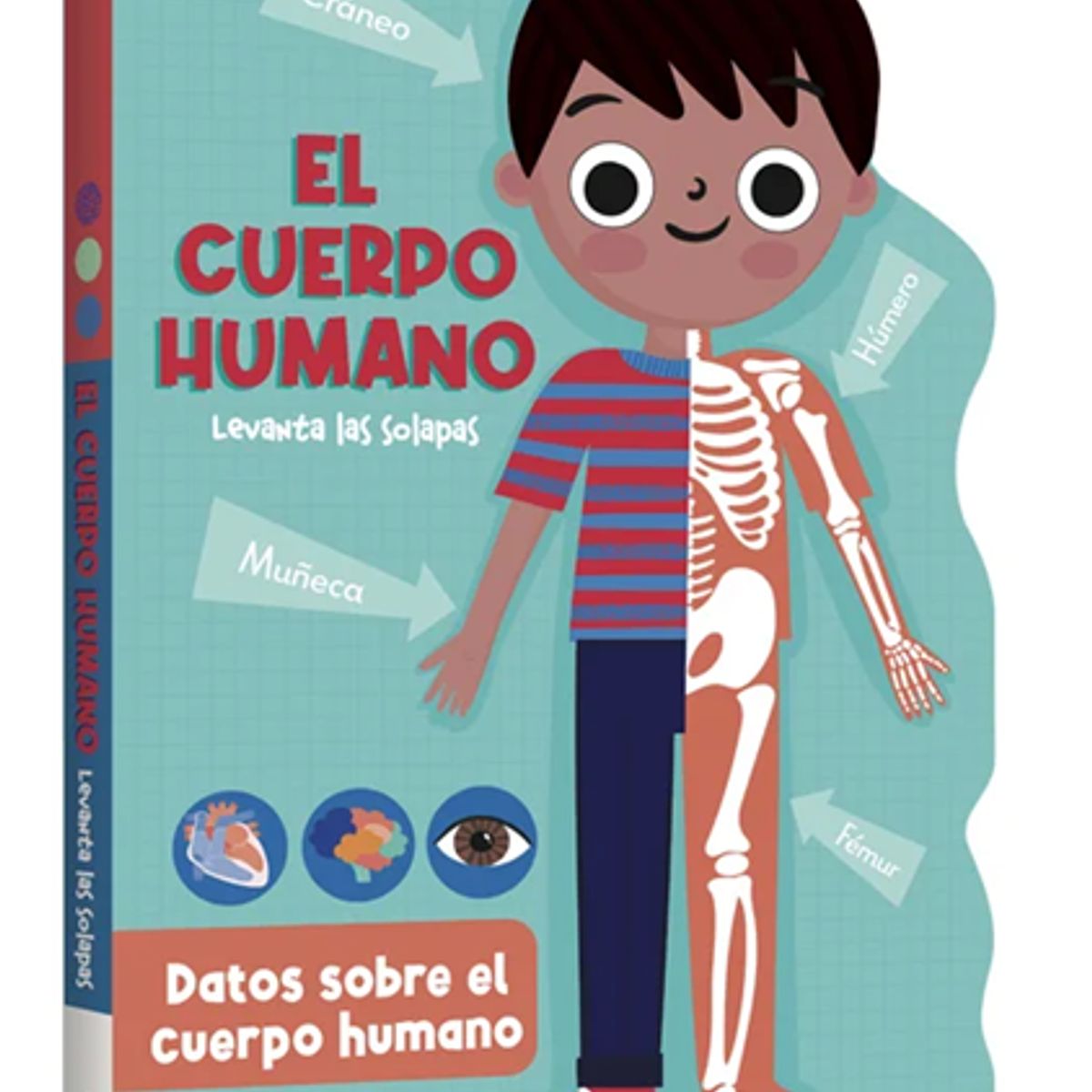 LEXUS - Libro infantil Cuerpo Humano Levanta las Solapas