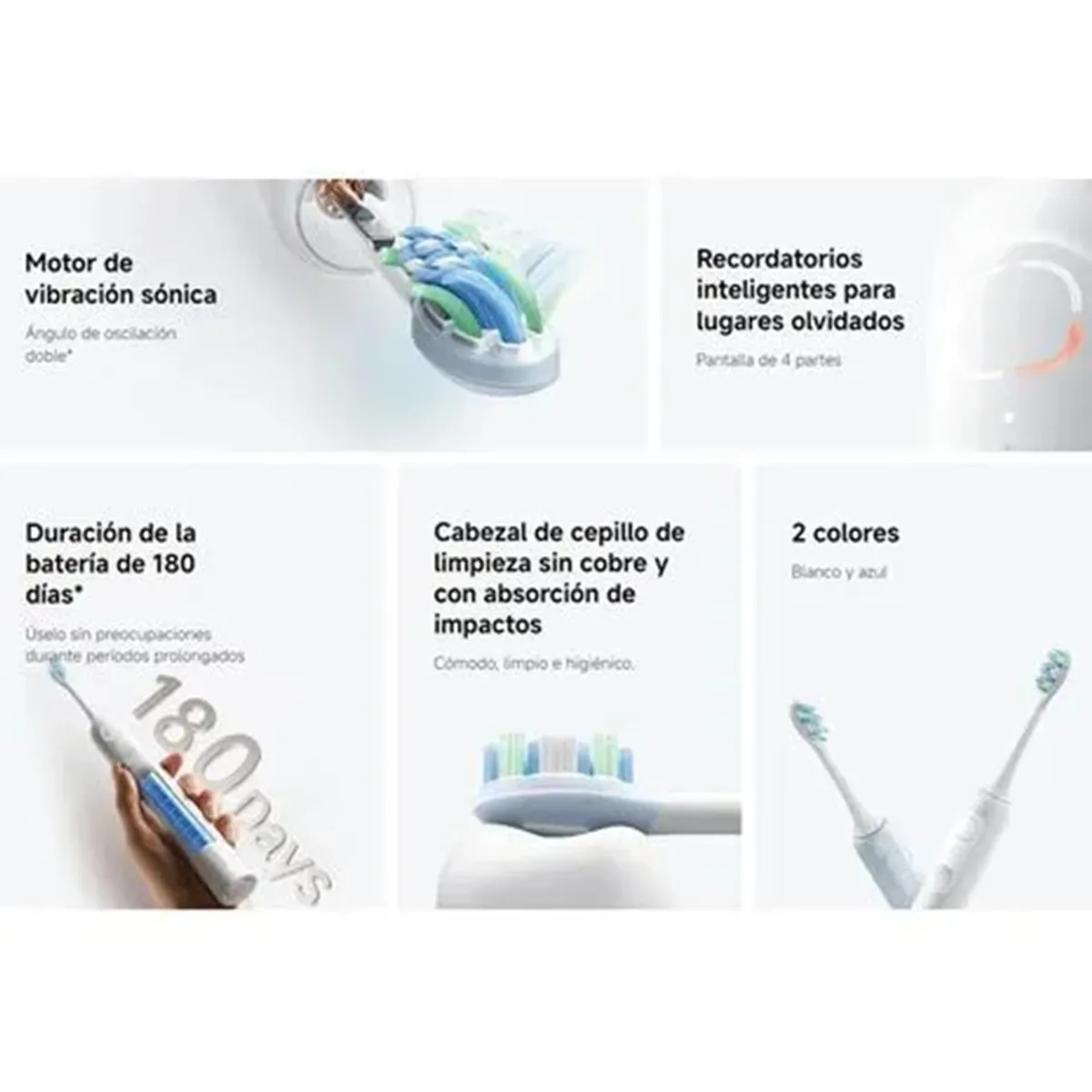 XIAOMI - Cepillo Eléctrico XIAOMI Oscillation Electric Toothbrush - Azul