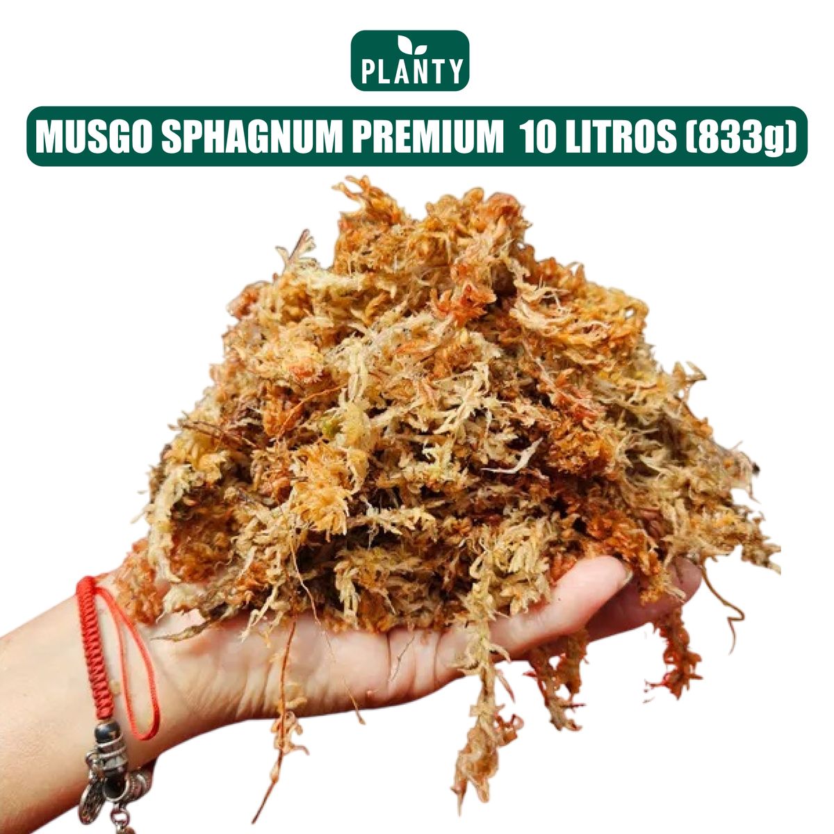 GENERICO - Sustrato Premium - Musgo Sphagnum 10 Litros 833g