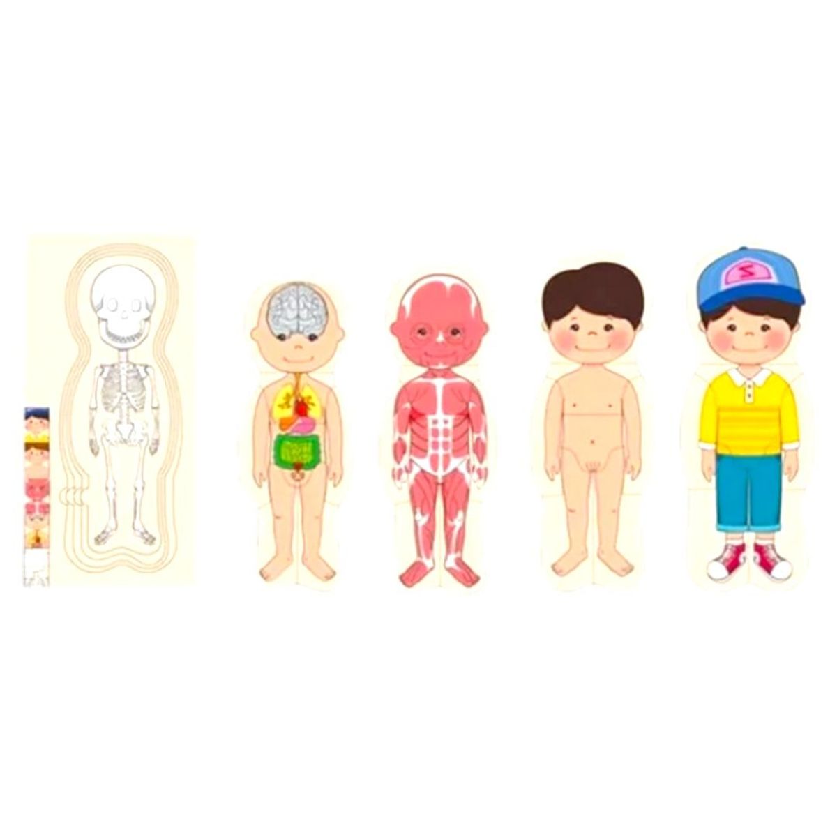 GENERICO - Rompecabezas del Cuerpo Humano 5 en 1 niño