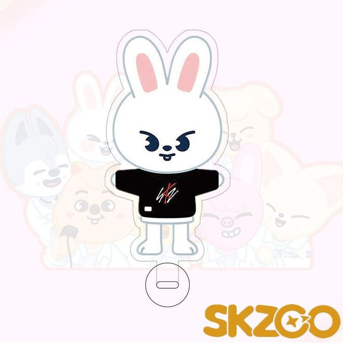 GENERICO - PARANTE DE ACRILICO SKZOO 3