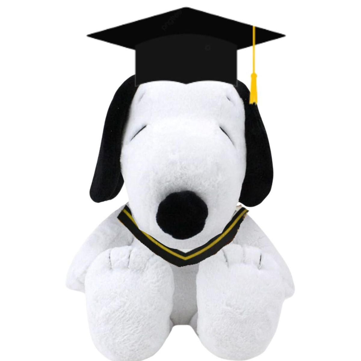 GENERICO - Peluche Snoo Graduado Oso Graduacion  mportado - Mide 38 cm alto