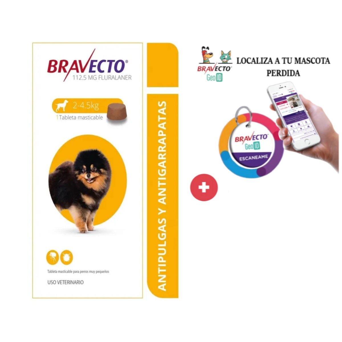 BRAVECTO - Antipulgas Bravecto para perros de 2 a 4.5 kg + Geolocalizador para mascota
