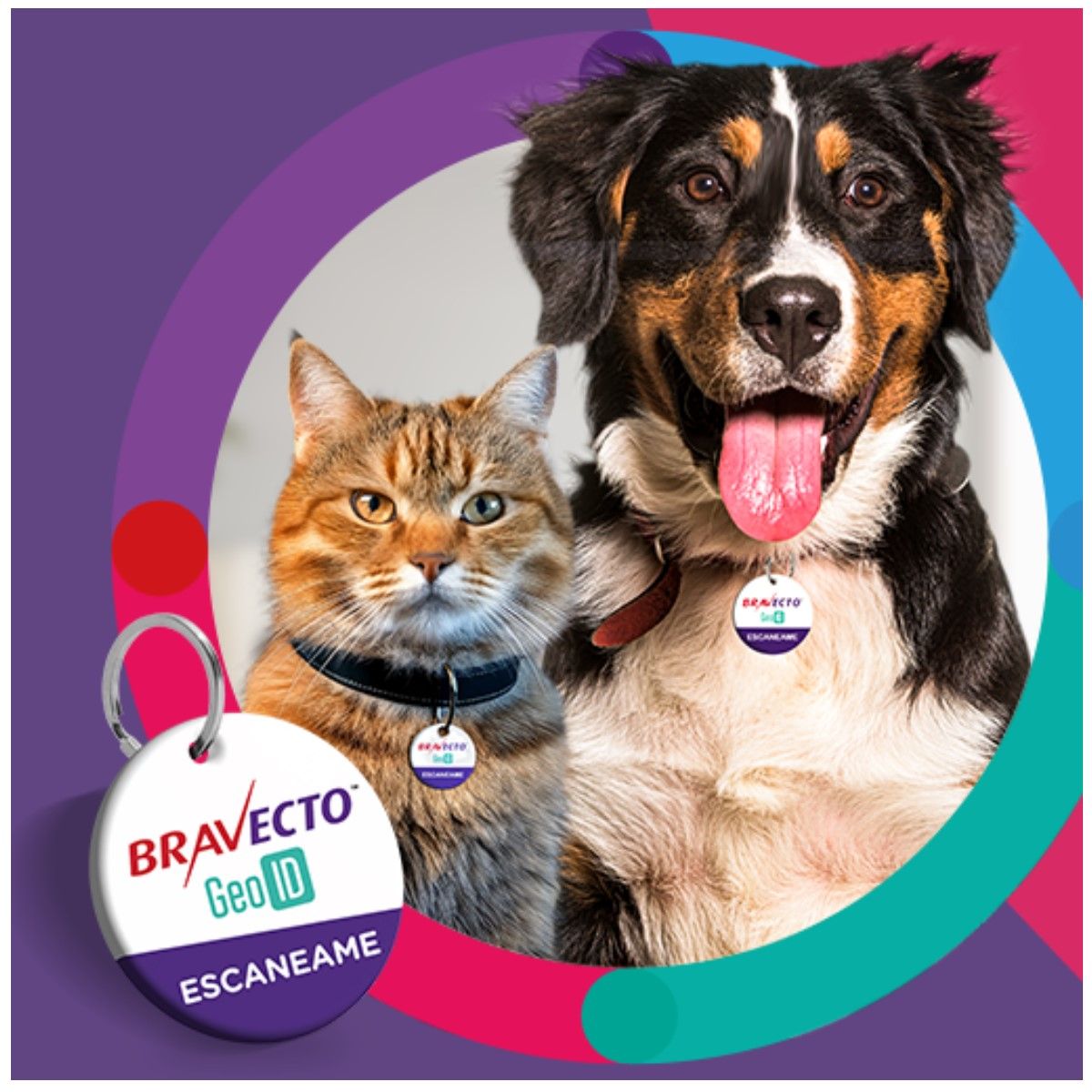 BRAVECTO - Antipulgas Bravecto para perros de 2 a 4.5 kg + Geolocalizador para mascota