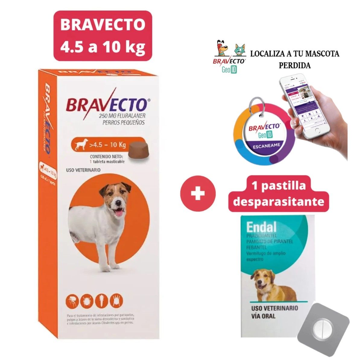 BRAVECTO - Antipulgas Bravecto para perros de 4.5 - 10 kg + Geolocalizador para Mascota