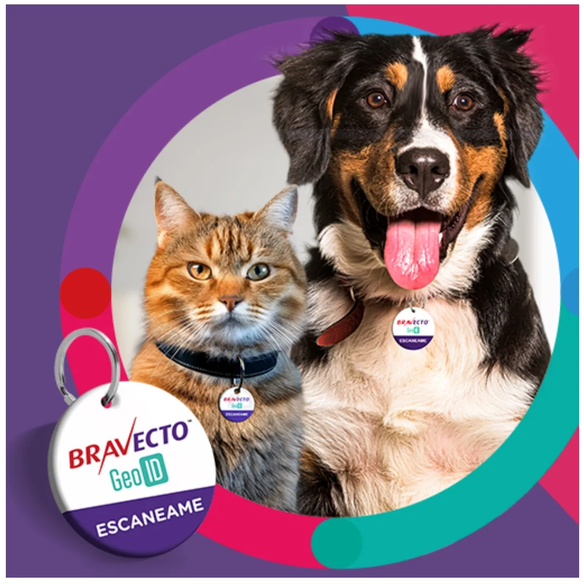 BRAVECTO - Antipulgas Bravecto para perros de 4.5 - 10 kg + Geolocalizador para Mascota