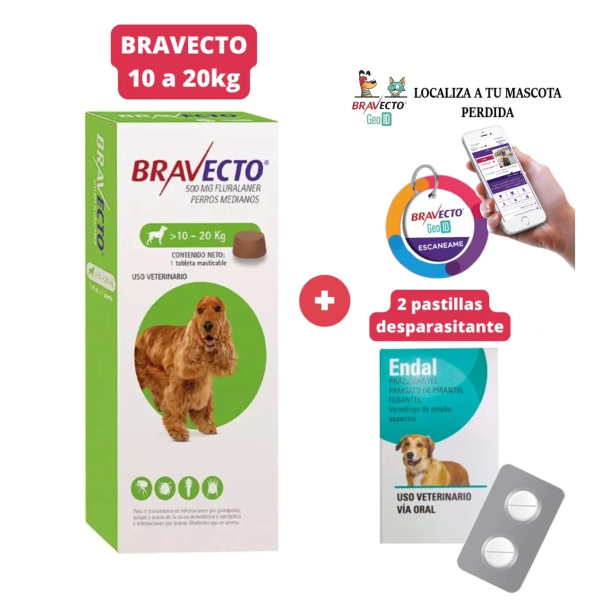 BRAVECTO - Antipulgas Bravecto para perros de 10 - 20 kg + Geolocalizador para Mascota